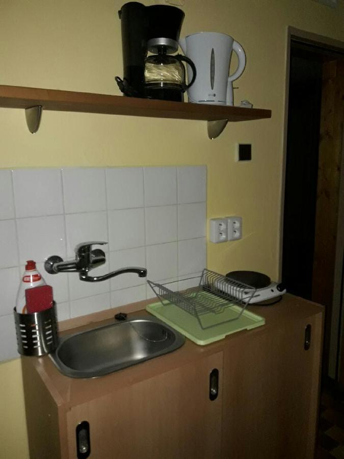 Pension Jana Harrachov Exteriör bild